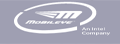 Mobileye|视觉驾驶辅助系统