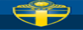 SvenskFotboll:瑞典足球协会官方网站