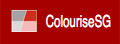 在线黑白照片转彩色工具 - ColouriseSG