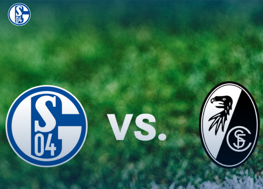 Schalke04:德国沙尔克04足球俱乐部
