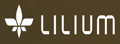 德国Lilium电动飞行汽车官网