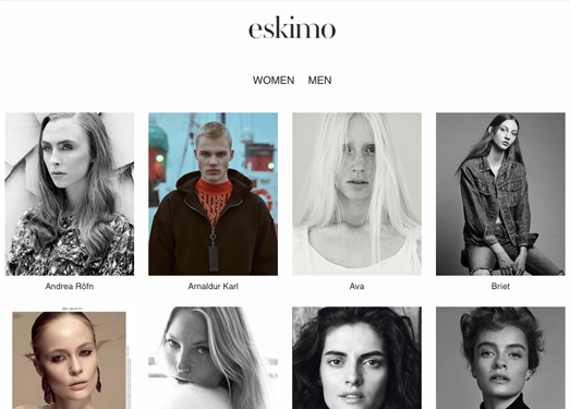 EskiMo.is:爱斯基摩人广告公司