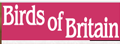 BirdsOfBritain:英国鸟类网络杂志
