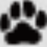 Cutestpaw|最可爱的爪子给你全世界最可爱的动物图片 