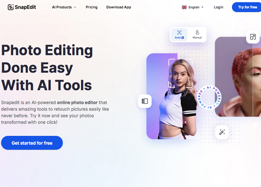 Photo Editor Online |AI编辑照片免费